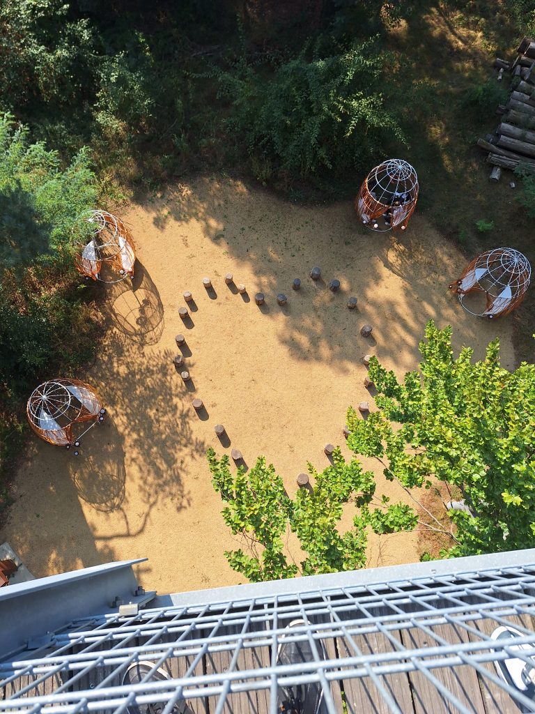 A view from the treetop path