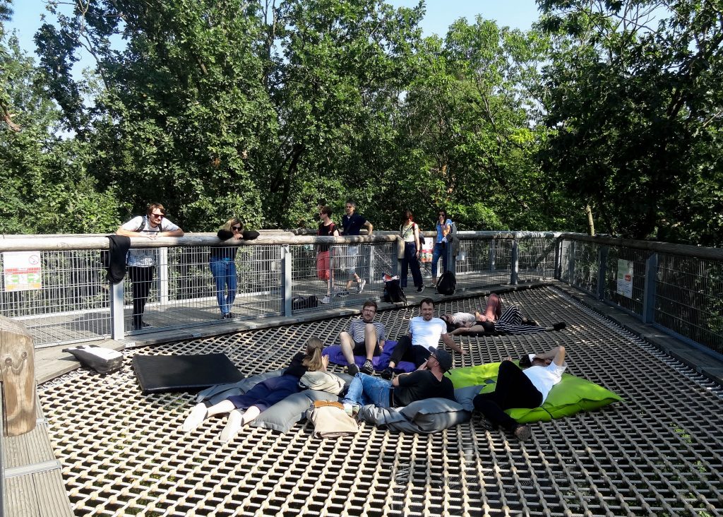 People on the treetop hammock